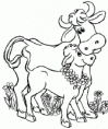 /album/fotogaleria-inicio/vaca-y-ternero-gif/